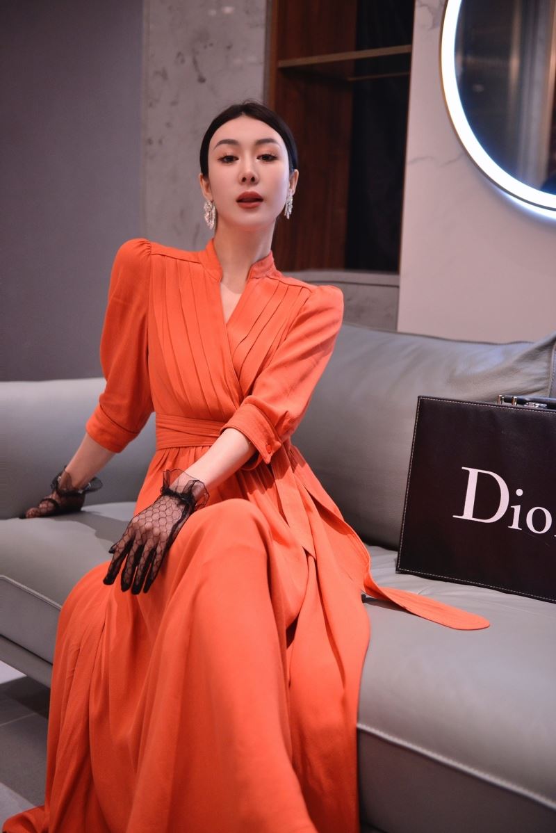 Christian Dior Dress